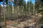 photo thumbnail #10