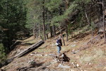 photo thumbnail #4