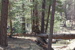 photo thumbnail #6