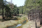 photo thumbnail #7