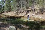 photo thumbnail #8