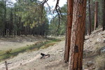 photo thumbnail #11