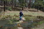 photo thumbnail #13