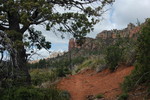 photo thumbnail #7