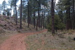 photo thumbnail #3