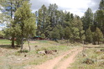 photo thumbnail #1