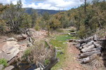 photo thumbnail #2