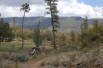 photo thumbnail #5