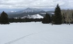 photo thumbnail #2