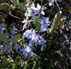 photo thumbnail #15