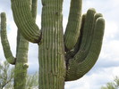 photo thumbnail #7
