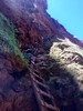 photo thumbnail #8