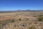 2017-03-24 :1: Rotten :: FLYING_FLIVER