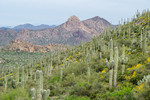 photo thumbnail #10