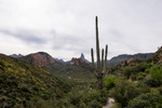 photo thumbnail #13