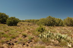 photo thumbnail #5