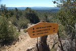 photo thumbnail #13
