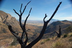 photo thumbnail #3