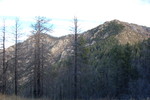 photo thumbnail #11
