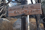 photo thumbnail #14