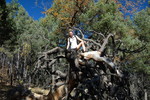 photo thumbnail #9