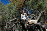 photo thumbnail #10