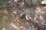 photo thumbnail #14