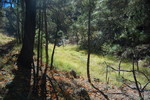 photo thumbnail #15