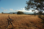 photo thumbnail #3