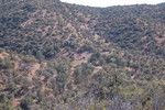 photo thumbnail #11