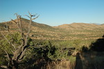 photo thumbnail #4