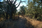 photo thumbnail #7