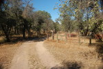 photo thumbnail #10