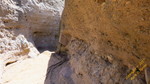 photo thumbnail #15