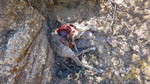 photo thumbnail #8