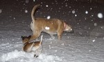photo thumbnail #1