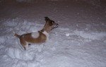 photo thumbnail #2
