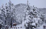photo thumbnail #5