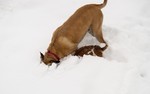 photo thumbnail #6
