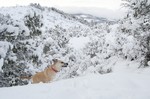 photo thumbnail #8