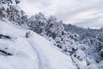 photo thumbnail #9