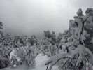 photo thumbnail #13