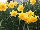 photo thumbnail #6