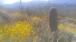 photo thumbnail #3