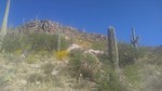 photo thumbnail #4