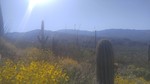 photo thumbnail #7
