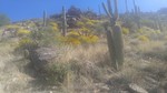 photo thumbnail #8