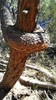 photo thumbnail #10