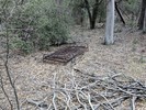 photo thumbnail #3