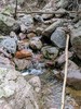 photo thumbnail #8